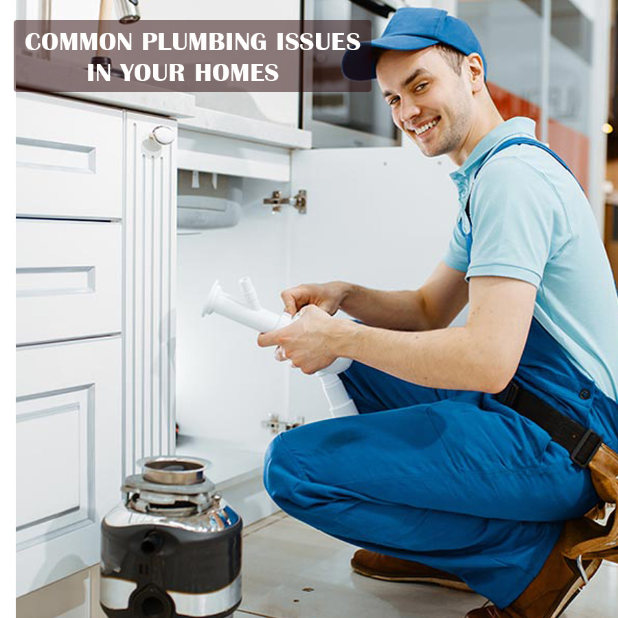 Common Plumbing Issues in Your Home