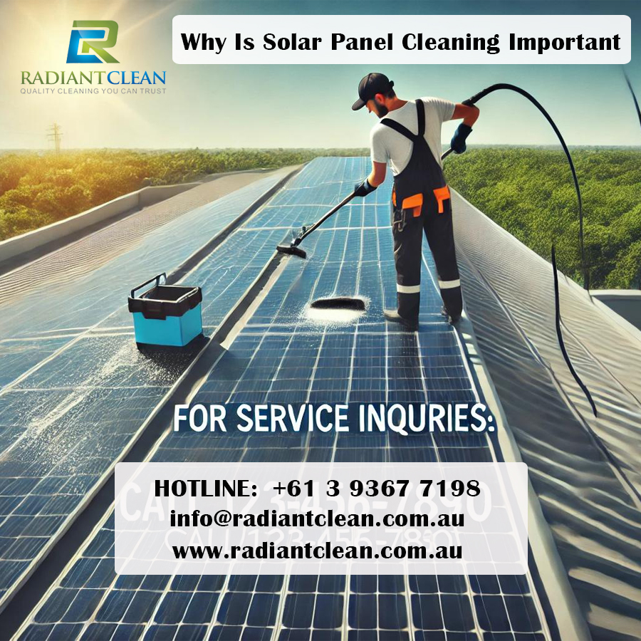 Why Is Solar Panel Cleaning Important?