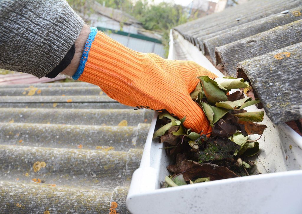 What Happens If You Don’t Clean Your Gutters?
