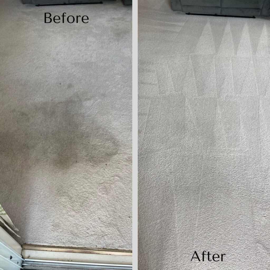 Top Benefits of Steam Cleaning Your Carpets Regularly