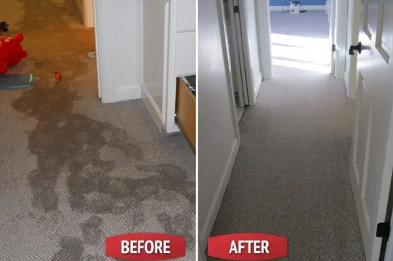 Comprehensive Flood Handling and Carpet Restoration Service – What to Expect