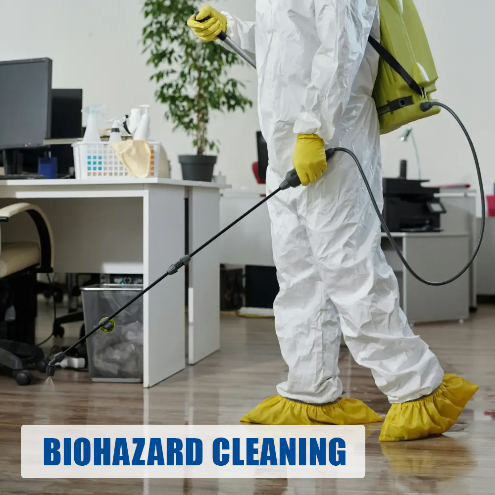 Sharps, Blood, and Bodily Fluids: When to Call a Biohazard Team