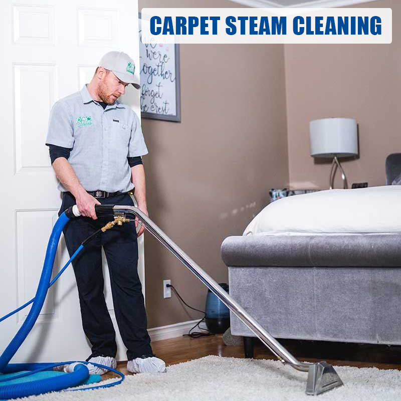 How Steam Cleaning Carpets Improves Indoor Air Quality in Winter