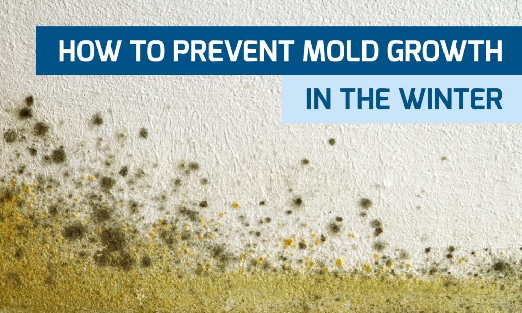 NDIS Home Safety: Preventing Mold Growth In The Winter
