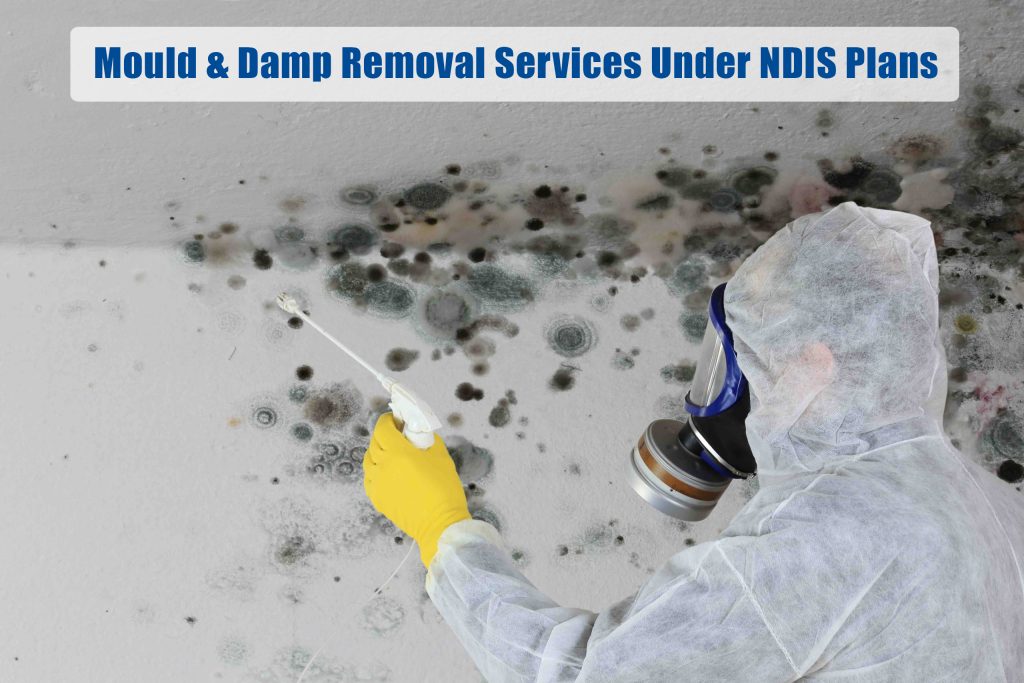 Mould & Damp Removal Services Under NDIS Plans What You Need to Know