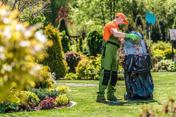 Winter Garden Clean-Ups: Essential Tasks to Keep Your Yard Healthy
