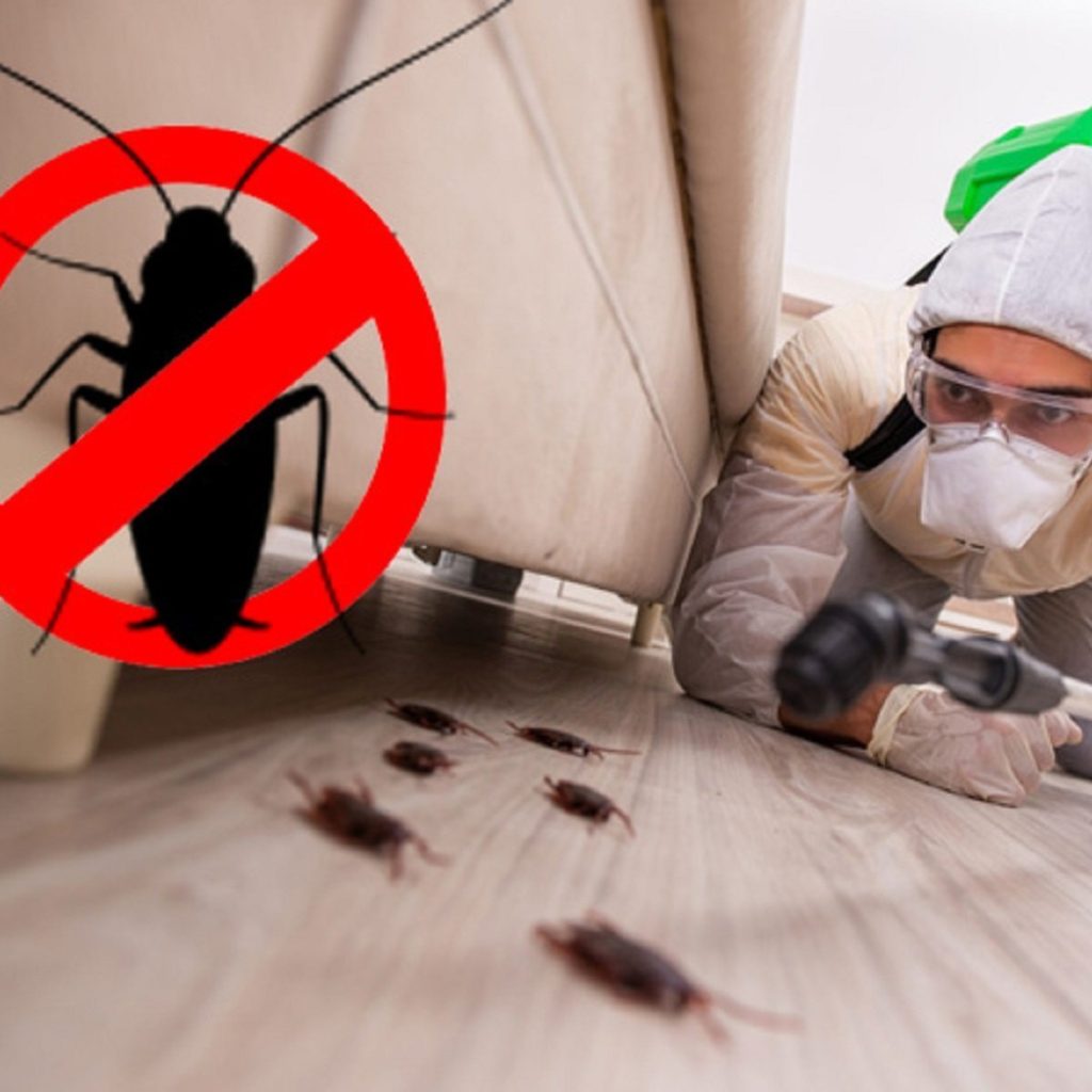 How Pest Control Protects Your Family's Health