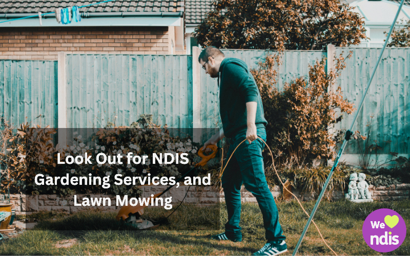 Seasonal Gardening Tips for NDIS Participants: What to Expect Year-Round in Australia