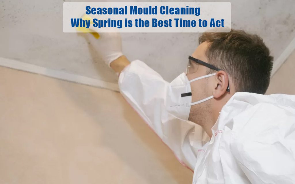Seasonal Mould Cleaning: Why Spring is the Best Time to Act