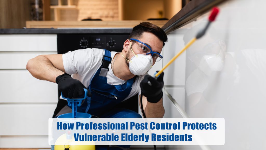 How Professional Pest Control Protects Vulnerable Elderly Residents