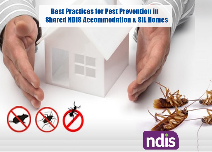 Best Practices for Pest Prevention in Shared NDIS Accommodation & SIL Homes