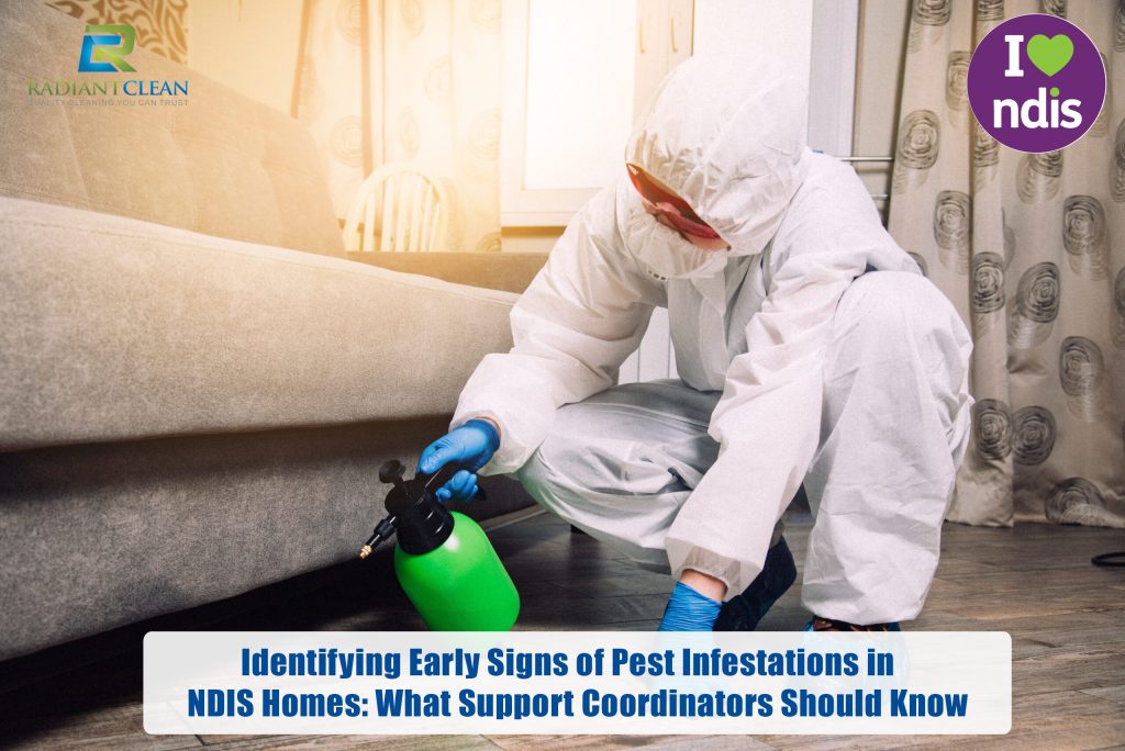 Identifying Early Signs of Pest Infestations in NDIS Homes: What Support Coordinators Should Know