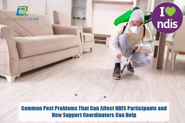 Common Pest Problems That Can Affect NDIS Participants and How Support Coordinators Can Help